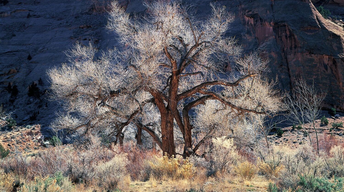 Landscape photographer races to finish decades of work