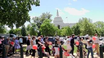 Strolling Thunder: Rally for Babies in Washington, DC
