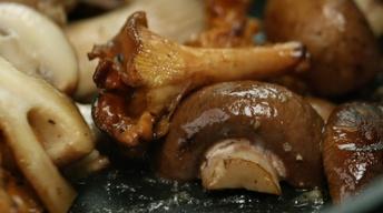 A Mushroom Vitamin D Boost