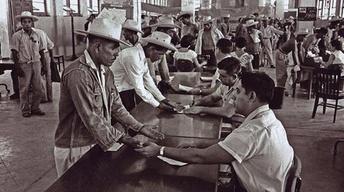 The Braceros