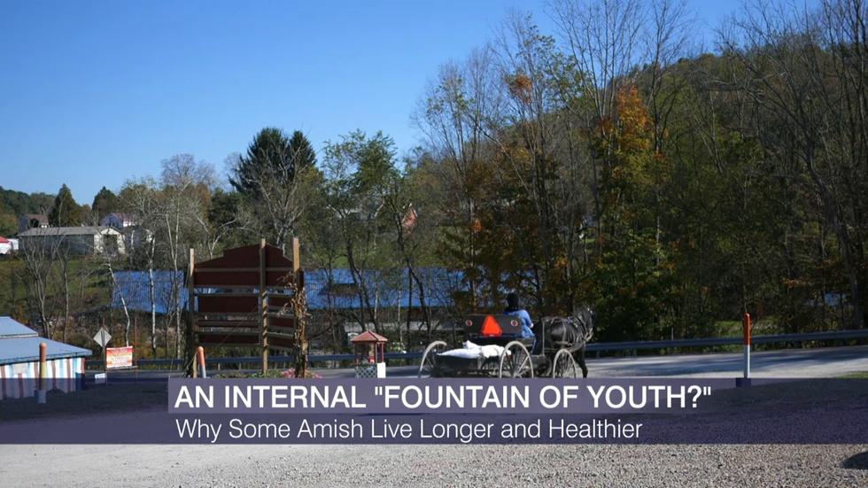 Does This Amish Family Have an Internal ‘Fountain of Youth’? image