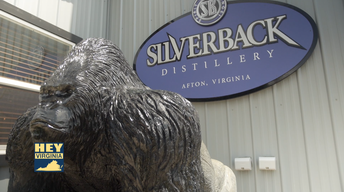 Silverback Distillery