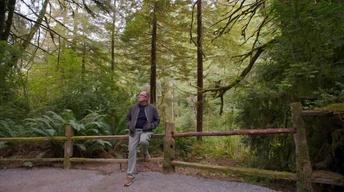 Tom Follows Clues to Northern California