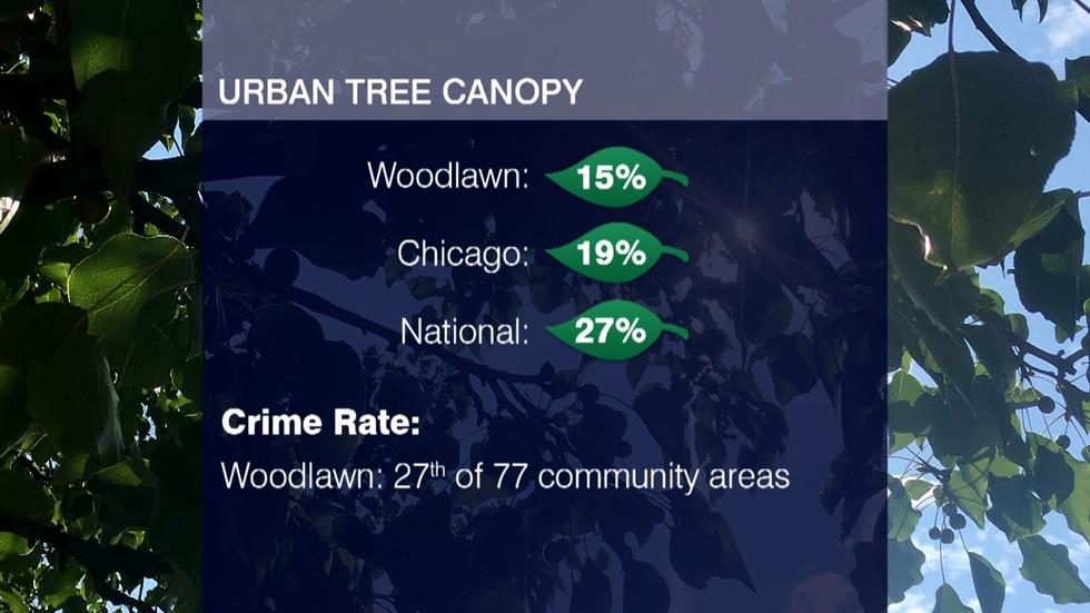 A Ground-Up Approach to a Healthier, Safer Community image