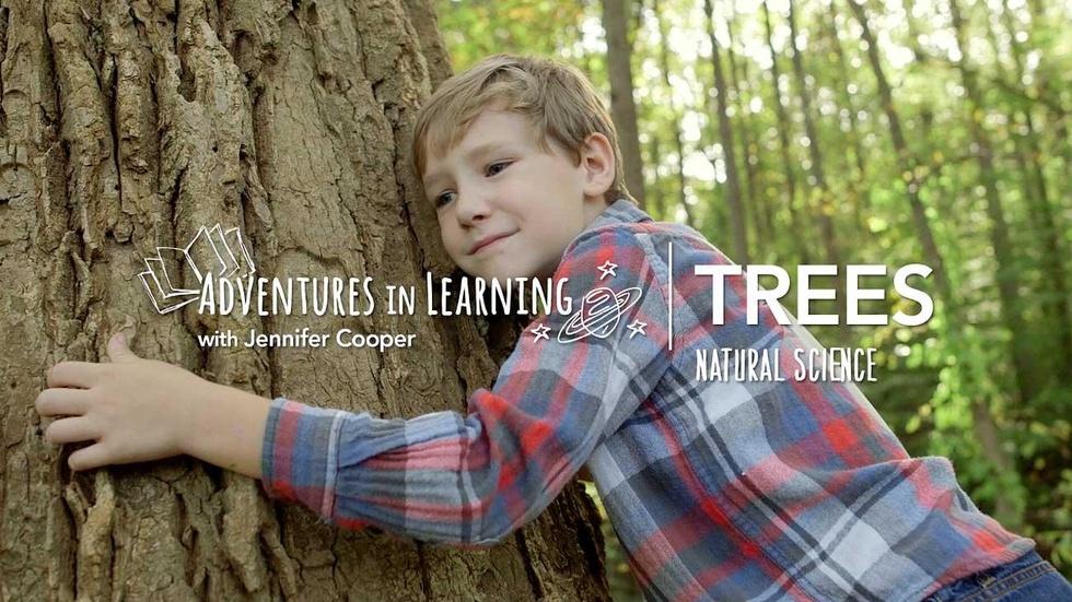 Learning About Trees image