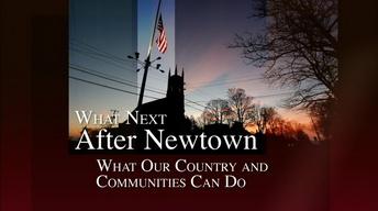 What Next After Newtown image