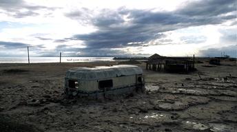 Plagues and Pleasures on the Salton Sea | Promo image