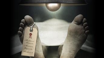 S26 Ep1: The Poisoner's Handbook