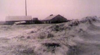 Flood Film Clips image