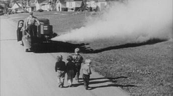 Rachel Carson & Silent Spring image