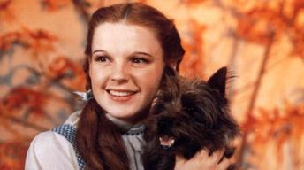 S17: Judy Garland: By Myself - Preview
