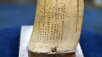 S16 Ep21: Appraisal: 1831 "Timoleon" Scrimshaw Tooth