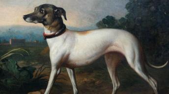 Appraisal: 19th-Century British Dog Portrait image