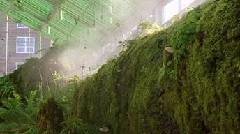 S4 Ep3: Ecology