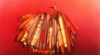 Arizona Artforms: Trude Parkinson image