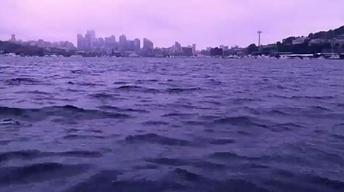 PBS Arts from Seattle: Something in the Water image