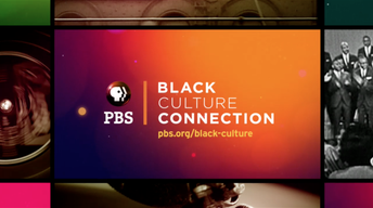 http://www.pbs.org/black-culture/explore/black-history-month-facts-and-films/