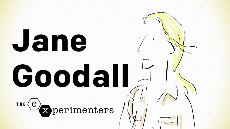 Jane Goodall on Instinct image
