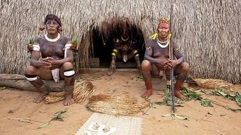 Into Amazonia