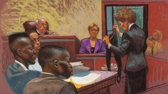 Central Park Five Preview image