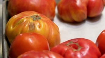 S1 Ep5: Tomato Pie