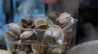 S3 Ep11: Preview: Season 3, Ep. 11: Gone Clamming, Part II
