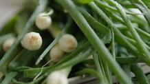 Video thumbnail: A Chef's Life S4 Ep1: Spring Onions