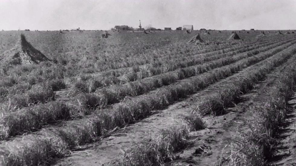 The Depression Comes to the Southern Plains image