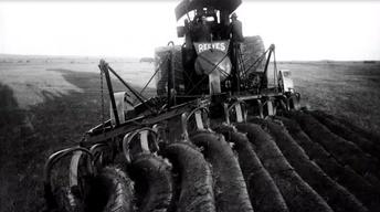 The Dust Bowl: Low Valued Wheat image