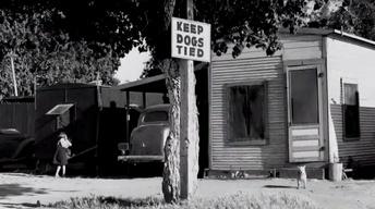 The Dust Bowl: Fresh Start image