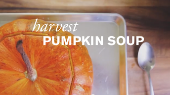 Harvest Pumpkin Soup image
