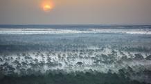 Video thumbnail: The Forgotten Coast: Return to Wild Florida The Forgotten Coast: Return to Wild Florida