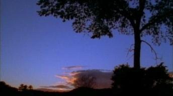 Edgar Tafel Discusses Frank Lloyd Wright image