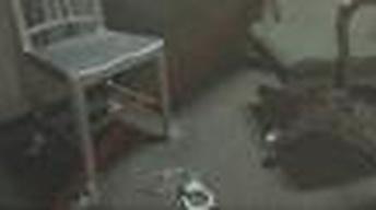 How Could Anyone Confess to a Crime They Didn't Commit? image