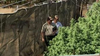 One Sheriff's Radical Experiment image