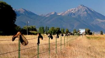 S30 Ep22: Big Sky, Big Money, an investigation with Marketpl