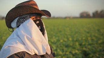 S31 Ep11: Rape in the Fields - Preview