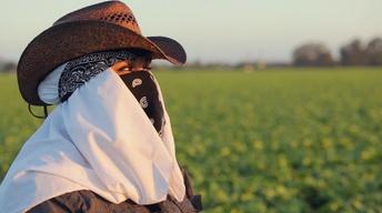 S31 Ep11: Rape in the Fields