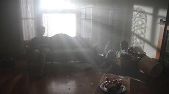 The Living image