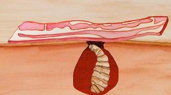 S1 Ep13: The Strangest Use For Bacon... Ever?