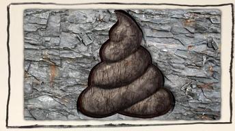S1 Ep20: What Can You Learn From Ancient Poop?