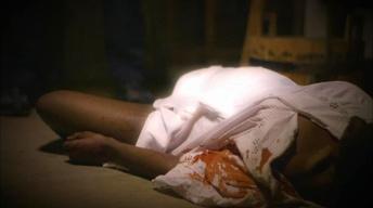 S11 Ep3: HDSI - Texas Servant Girl Murders