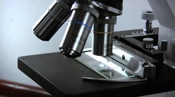 The Invention of the Microscope and Telescope