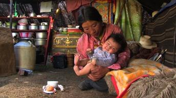 Hardship and Heartbreak Threaten the Bonds of One Nomadic... image