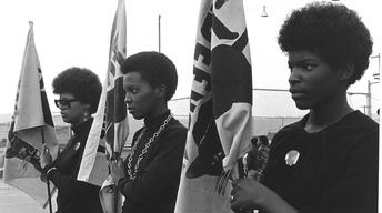 The Black Panthers - Trailer