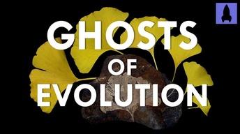 Ghosts of Evolution image