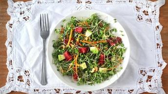 Microgreens Salad image
