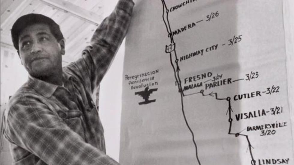 Farmworkers Strike image