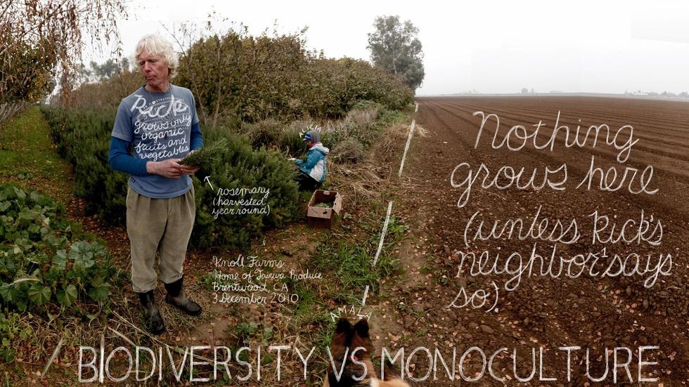 Unconventional Agriculture image