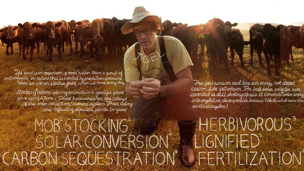 Grass Fed image